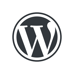 Check the security of your WordPress site