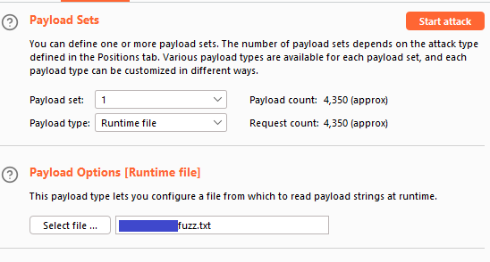 Fuzzing with Burp Intruder